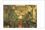 Winter Garden in the Winter Palace, St. Petersburg, 1840 by Michail Ivanovich Antonov