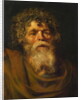 Head of an Old Man, Study for 'The Crown of Thorns', c.1612-14 by Peter Paul Rubens