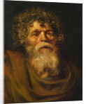 Head of an Old Man, Study for 'The Crown of Thorns', c.1612-14 by Peter Paul Rubens