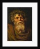 Head of an Old Man, Study for 'The Crown of Thorns', c.1612-14 by Peter Paul Rubens