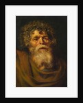 Head of an Old Man, Study for 'The Crown of Thorns', c.1612-14 by Peter Paul Rubens