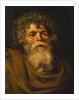 Head of an Old Man, Study for 'The Crown of Thorns', c.1612-14 by Peter Paul Rubens