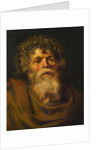 Head of an Old Man, Study for 'The Crown of Thorns', c.1612-14 by Peter Paul Rubens