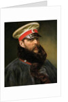 Emperor Alexander II, c.1888 by School Russian