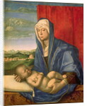 Virgin and Child by Giovanni Bellini