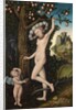 Venus and Cupid, c.1525 by Lucas the Elder Cranach