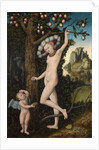 Venus and Cupid, c.1525 by Lucas the Elder Cranach