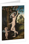 Venus and Cupid, c.1525 by Lucas the Elder Cranach