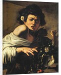 Boy bitten by a lizard, 1596-97 by Michelangelo Merisi da Caravaggio