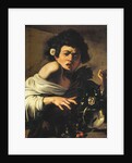 Boy bitten by a lizard, 1596-97 by Michelangelo Merisi da Caravaggio