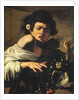 Boy bitten by a lizard, 1596-97 by Michelangelo Merisi da Caravaggio