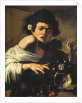 Boy bitten by a lizard, 1596-97 by Michelangelo Merisi da Caravaggio