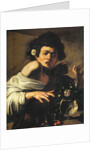 Boy bitten by a lizard, 1596-97 by Michelangelo Merisi da Caravaggio