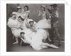 Swan Lake, Mariinsky Theatre, 1895 by Russian Photographer