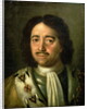 Portrait of Tsar Peter I the Great 1772 by Alexei Petrovich Antropov