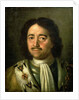Portrait of Tsar Peter I the Great 1772 by Alexei Petrovich Antropov