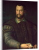 Portrait of Cosimo I de' Medici 1559 by Agnolo di Cosimo Bronzino