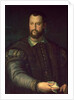 Portrait of Cosimo I de' Medici 1559 by Agnolo di Cosimo Bronzino