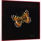 Small tortoiseshell butterfly, 1998 by Amelia Kleiser