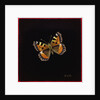 Small tortoiseshell butterfly, 1998 by Amelia Kleiser