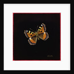Small tortoiseshell butterfly, 1998 by Amelia Kleiser