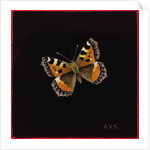 Small tortoiseshell butterfly, 1998 by Amelia Kleiser