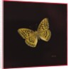Silver washed fritillary butterfly, 2000 by Amelia Kleiser