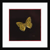 Silver washed fritillary butterfly, 2000 by Amelia Kleiser