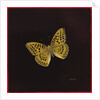 Silver washed fritillary butterfly, 2000 by Amelia Kleiser