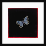Large blue butterfly, 2000 by Amelia Kleiser