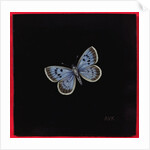 Large blue butterfly, 2000 by Amelia Kleiser