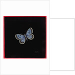 Large blue butterfly, 2000 by Amelia Kleiser