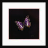 Purple emperor butterfly, 2000 by Amelia Kleiser