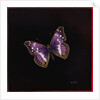 Purple emperor butterfly, 2000 by Amelia Kleiser