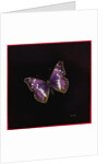 Purple emperor butterfly, 2000 by Amelia Kleiser