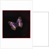 Purple emperor butterfly, 2000 by Amelia Kleiser