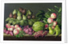 Figs, melon and gooseberries, 1998 by Amelia Kleiser