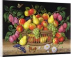 Apples, pears. grapes and plums, 1999 by Amelia Kleiser