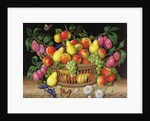 Apples, pears. grapes and plums, 1999 by Amelia Kleiser