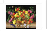 Apples, pears. grapes and plums, 1999 by Amelia Kleiser