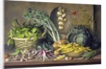 Garlic and radishes and a peacock buttefly, 1997 by Amelia Kleiser