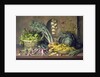 Garlic and radishes and a peacock buttefly, 1997 by Amelia Kleiser