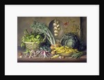 Garlic and radishes and a peacock buttefly, 1997 by Amelia Kleiser