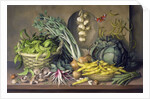 Garlic and radishes and a peacock buttefly, 1997 by Amelia Kleiser