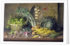 Garlic and radishes and a peacock buttefly, 1997 by Amelia Kleiser