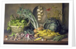 Garlic and radishes and a peacock buttefly, 1997 by Amelia Kleiser