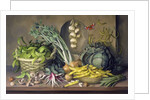 Garlic and radishes and a peacock buttefly, 1997 by Amelia Kleiser