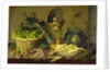 Cabbage, Peas and Beans, 1998 by Amelia Kleiser