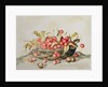Basket of cherries, 1998 by Amelia Kleiser