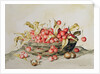 Basket of cherries, 1998 by Amelia Kleiser